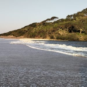 Life on earth&nbsp;is