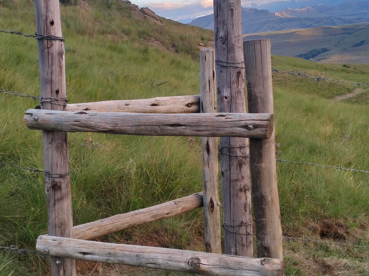 Most people think discipline is a gift you are born with. They are&nbsp;wrong.