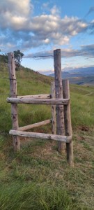 Most people think discipline is a gift you are born with. They are&nbsp;wrong.